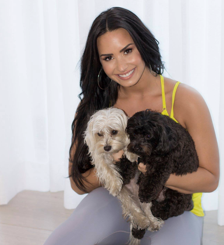 DEMI LOVATO'S FUR KIDS KNOWS HOW TO SPA!