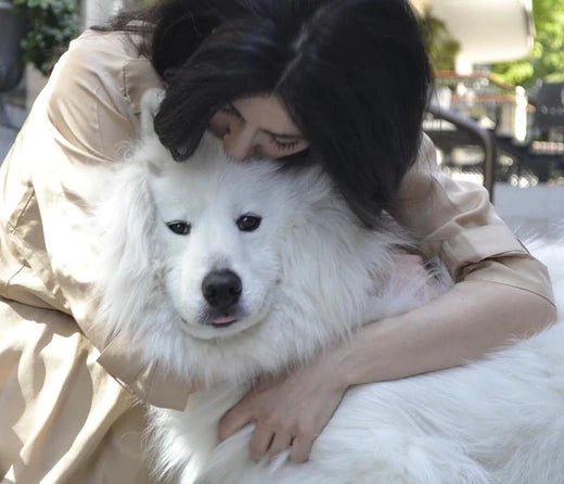 A Letter from our CEO and Founder - PET LOVE in times of Corona Virus Pandemic