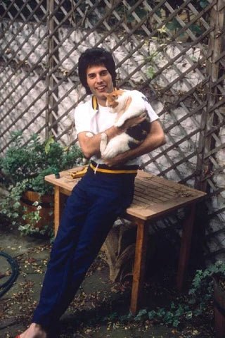 FREDDIE MERCURY’S LOVE OF CATS