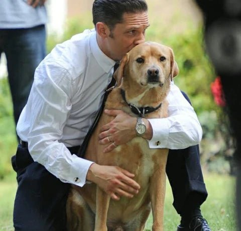 PAW’SOME DOG DAD: TOM HARDY