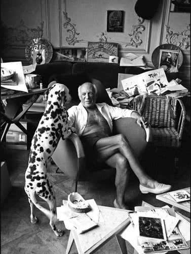 PICASSO'S ARK OF ANIMALS