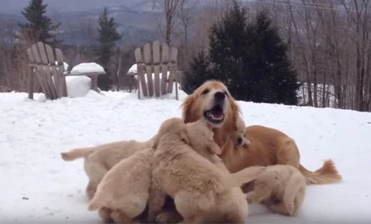 HAPPY MOTHER’S DAY!