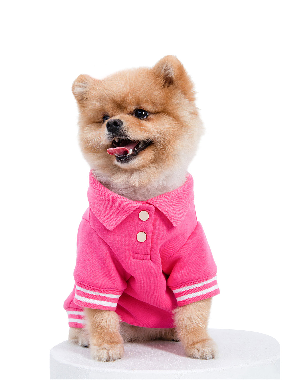 Boss Babe Dog Sweatshirt