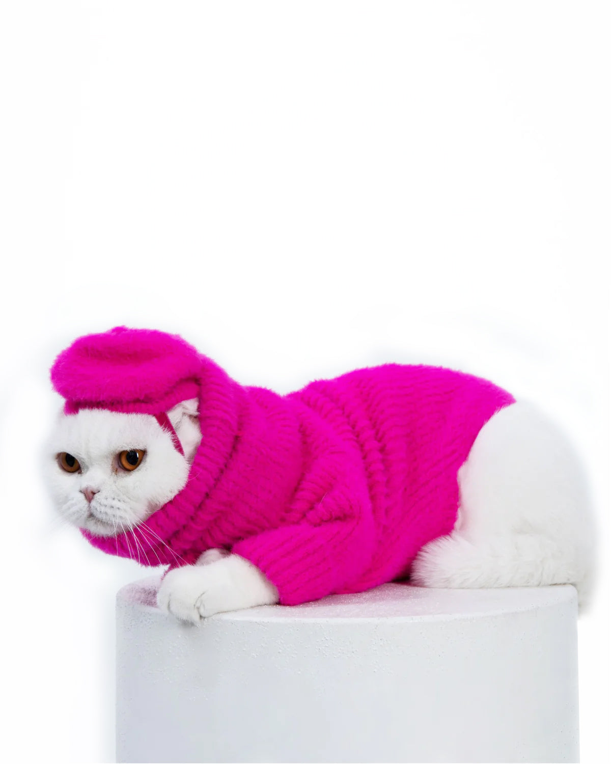Loves It Cat Sweater & Hat
