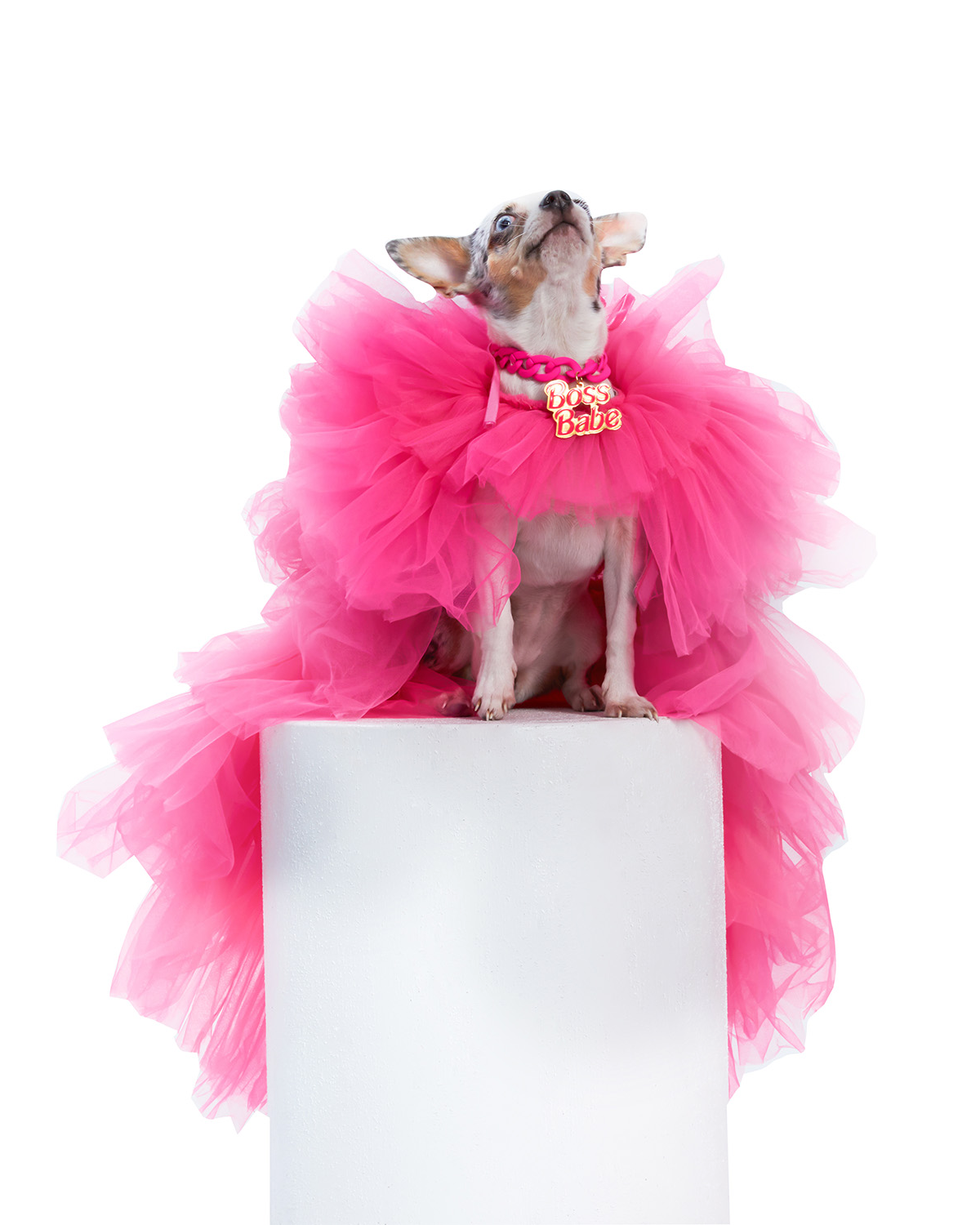 Boss Babe Gown - Haute Couture for Pets
