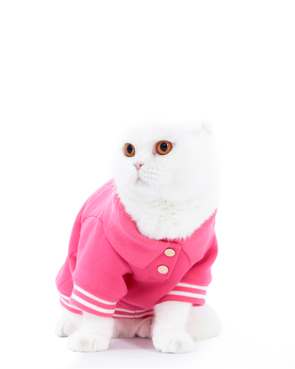 Boss Babe Cat Sweatshirt
