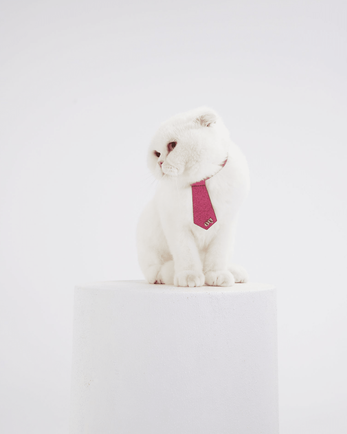 Christian Cowan Cat Tie - Moshiqa Store