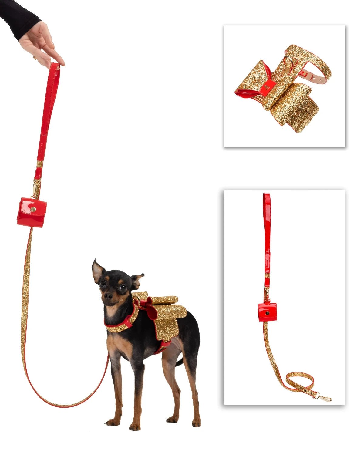 Glam Dog Bundle - Moshiqa Store