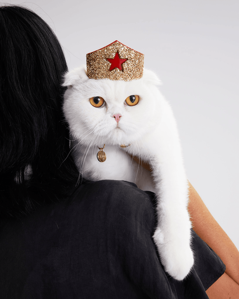 Golden Star Tiara for Felines– Moshiqa Store