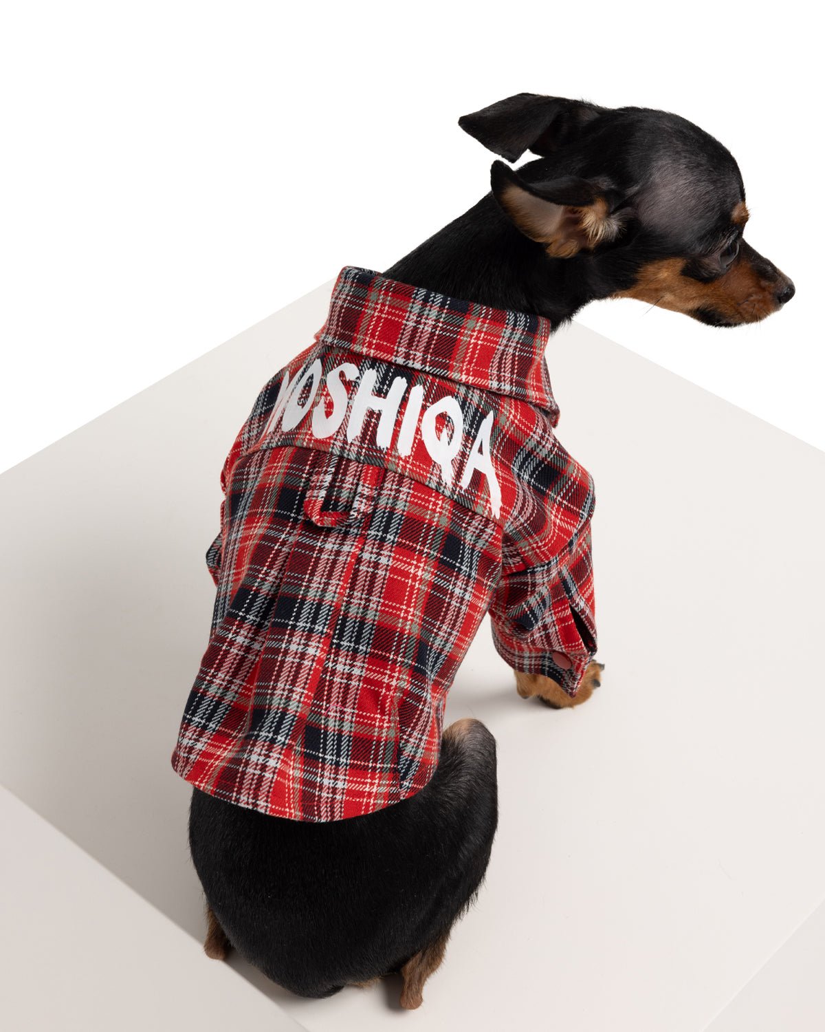 Johnny Dog Shirt - Moshiqa Store