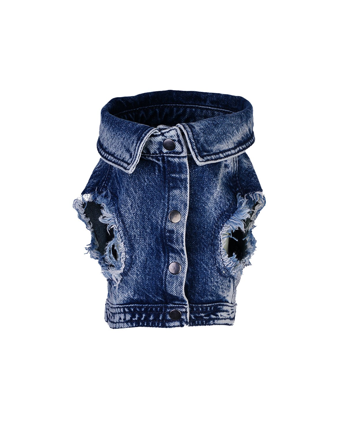 Moshiqa Denim Cat - Moshiqa Store