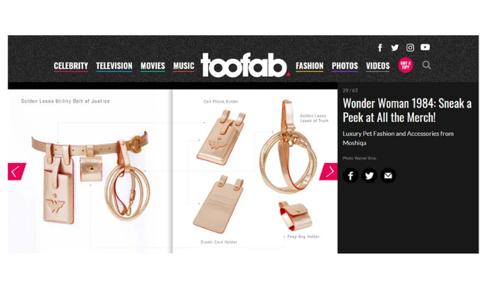 TOO FAB - Wonder Woman 1984 Collection by Moshiqa - Gold Accessories for Pets & Humans