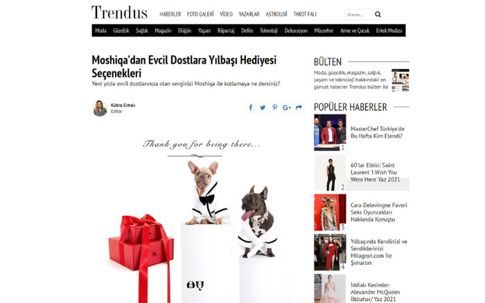 TRENDUS - Best New Year’s Gifts for Pets - Stylish & Functional Pet Accessories