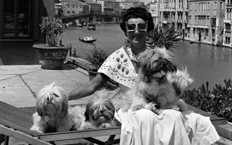 ICONIC PEGGY GUGGENHEIM & HER FURRY FAMILY