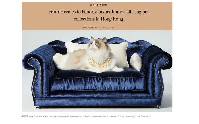 5 Luxury Pet Collections in Hong Kong - Stylish Finds for Furry Friends - Moshiqa Store