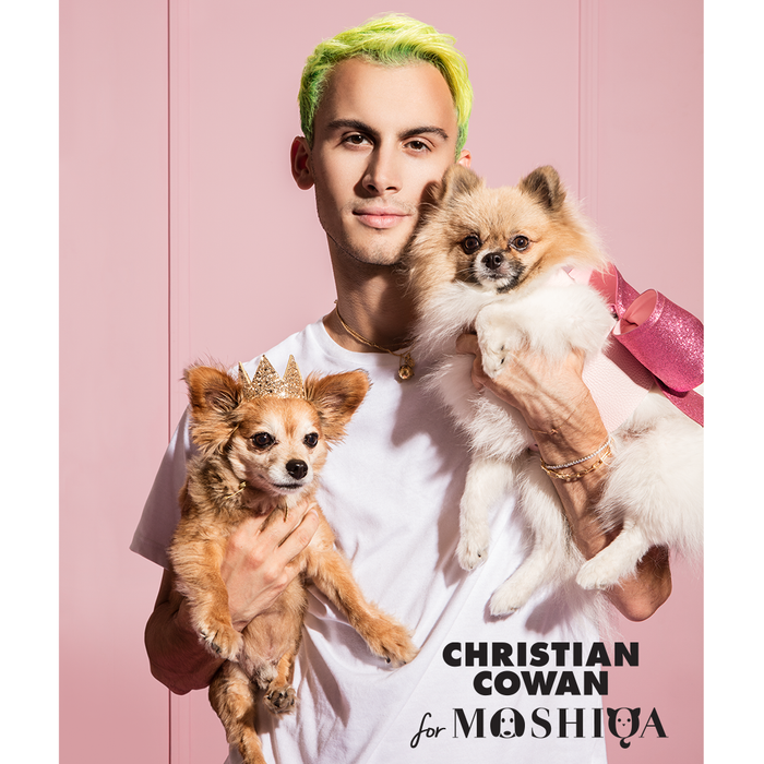 Christian Cowan x Moshiqa glitter couture dog fashion collection on a small dog | Moshiqa