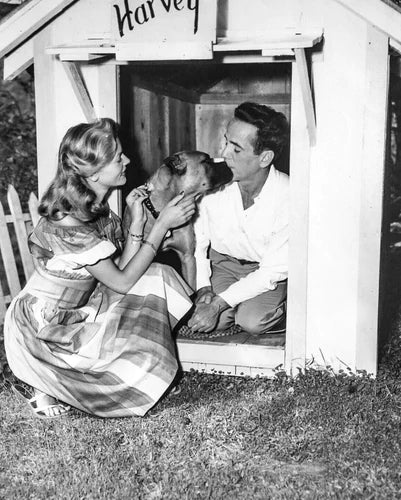 Hollywoof's Boxer Couple: Lauren Bacall & Humphrey Bogart