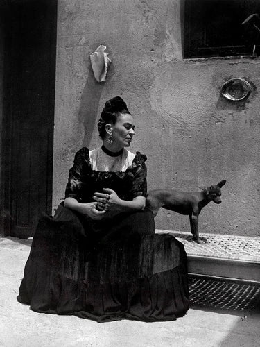 FRIDA KAHLO’S VIVACIOUS MENAGERIE