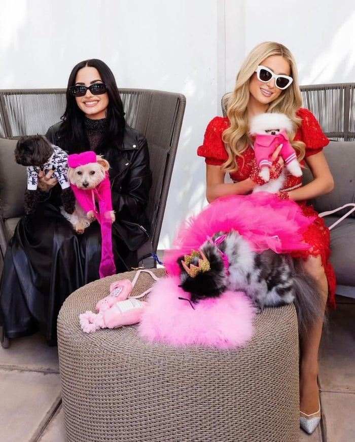 MEET THE STAR PET CHEFS!