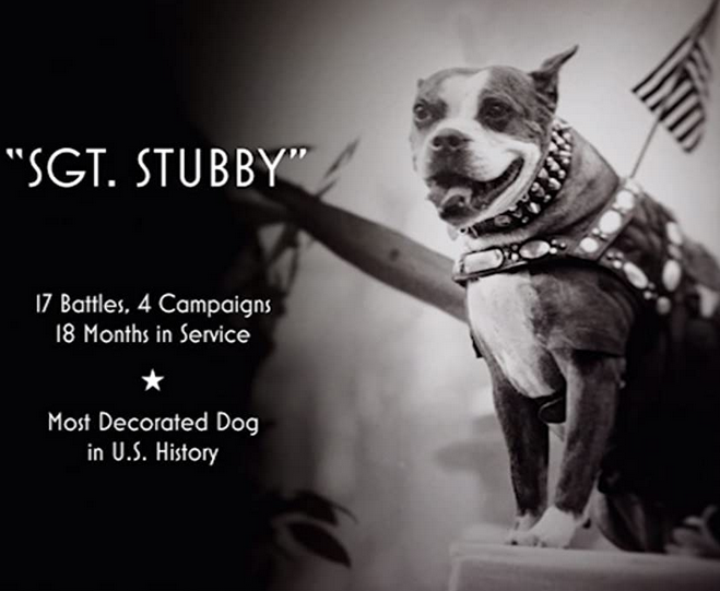 SGT. STUBBY: AN AMERICAN HERO