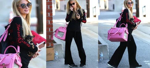 A PERFECT SIGHT TO BEHOLD: PARIS HILTON WITH A MOSHIQA