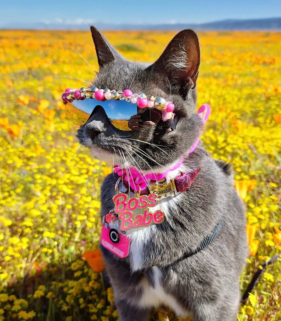 A TOTAL BOSS BABE