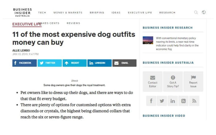 BUSINESS INSIDER AUSTRALIA - Most Expensive Dog Outfits - Luxury by Moshiqa - Moshiqa Store