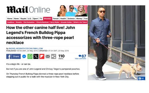 DAILY MAIL - It’s a Dog’s Life with Moshiqa - John Legend’s Pampered Pups - Moshiqa Store