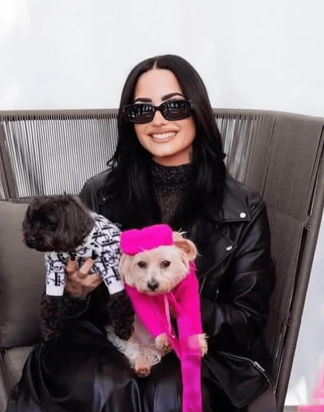 Demi Lovato - Moshiqa Store