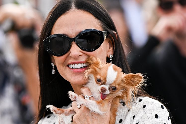 Demi Moore's Dog: How Hollywood's Most Elegant Star Styles Her Pet