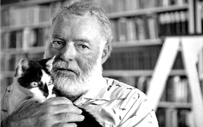 ERNEST HEMINGWAY & HIS LOVE OF CATS - Moshiqa Store