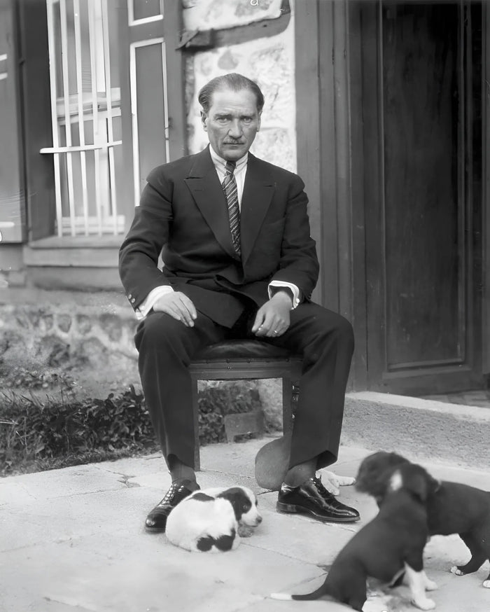 Foks and Atatürk: The Loyal Companion of a Great Leader - Moshiqa Store