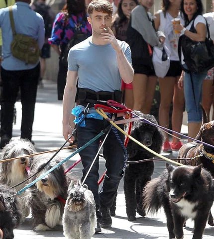 Happy Birthday Daniel Radcliffe - Moshiqa Store