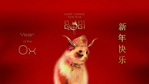 Happy Chinese New Year 新 年 快 乐  Xīn Nián Kuài Lè! - Moshiqa Store