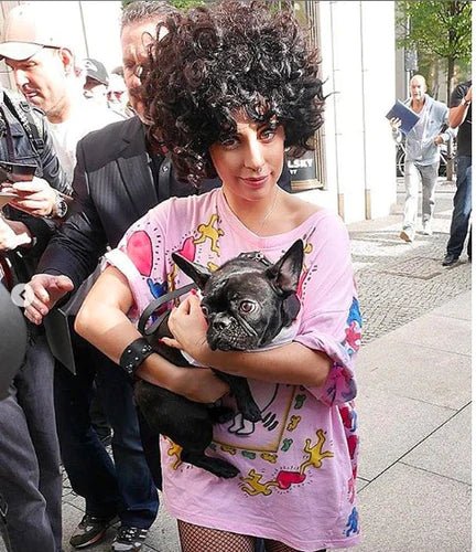 HAPPY GAGA DAY! - Moshiqa Store