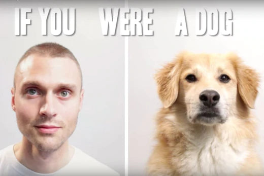DO YOU THINK THAT YOU SPENT YOUR LIFE AS A DOG?