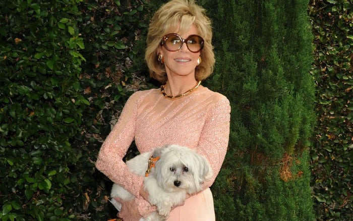 Jane Fonda - Moshiqa Store