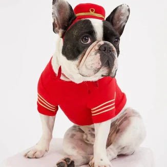 Keep Your Furry Family Members Safe! - Moshiqa Store