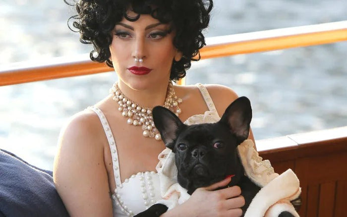 Lady Gaga - Moshiqa Store