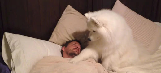 IT’S TIME TO WAKE UP!