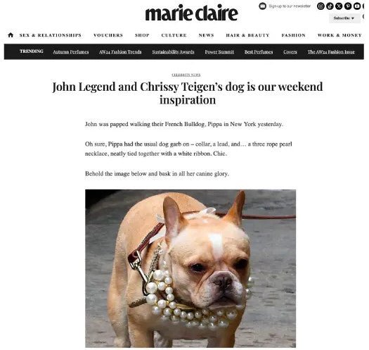 Marie Claire - John Legend and Chrissy Teigen’s dog is our weekend inspiration - Moshiqa Store