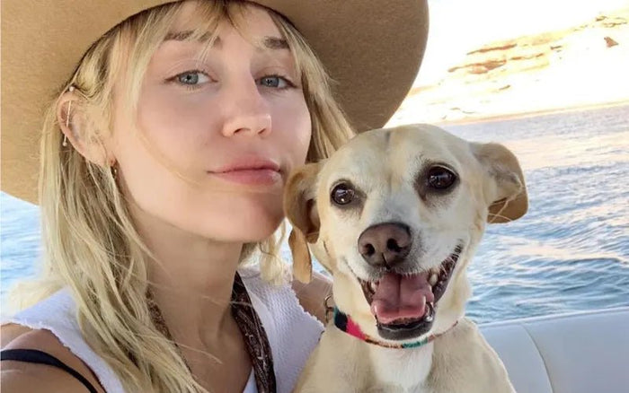 Miley Cyrus - Moshiqa Store