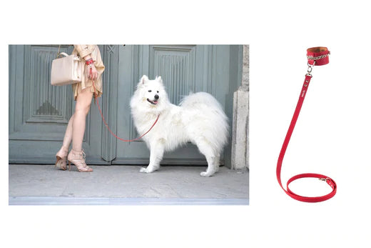 TWO IN ONE: BRACELET AND LEASH