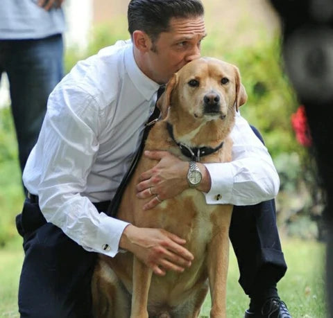 PAW’SOME DOG DAD: TOM HARDY
