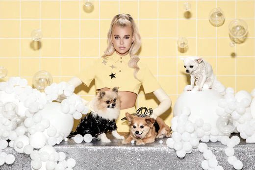 PAMPER YOUR FURKIDS WITH TOP LUXURY PETS' FASHION ACCESSORIES