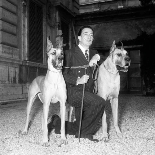 THE SURREAL PET WORLD OF DALI