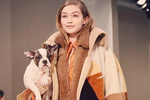 Science Finds Petting A Dog Can Lower Stress Levels In Just 10 Minutes - Moshiqa Store