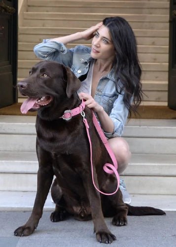 Spreading Love Paw by Paw - Moshiqa Store