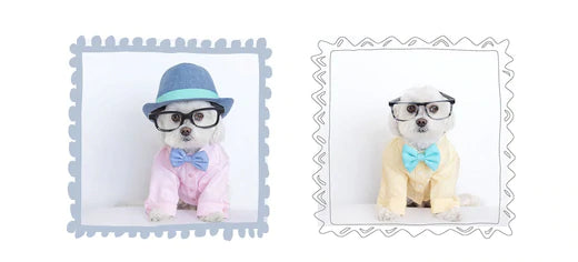 MOSHIQA ANNOUNCING A TRENDSETTING CAPSULE COLLECTION