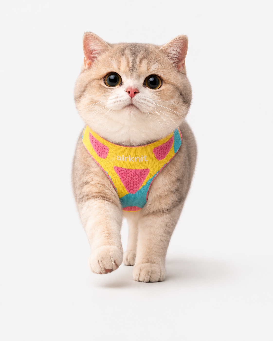 AirKnit™ Harness · Popshock